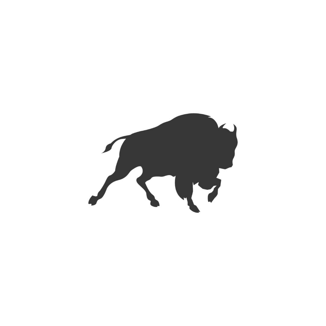 Sportiqe Apparel logo