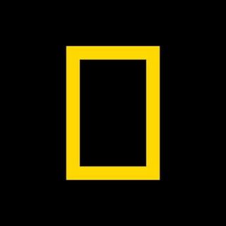 National Geographic logo
