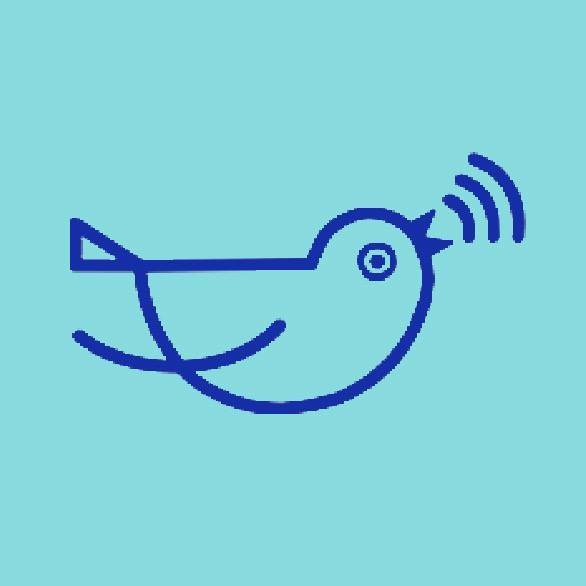 Birdie logo