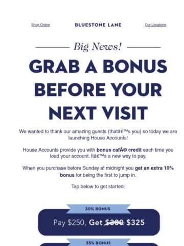 Email Inspiration from Bluestone Lane - Email Love