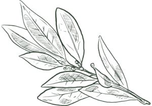 MoonBrew logo