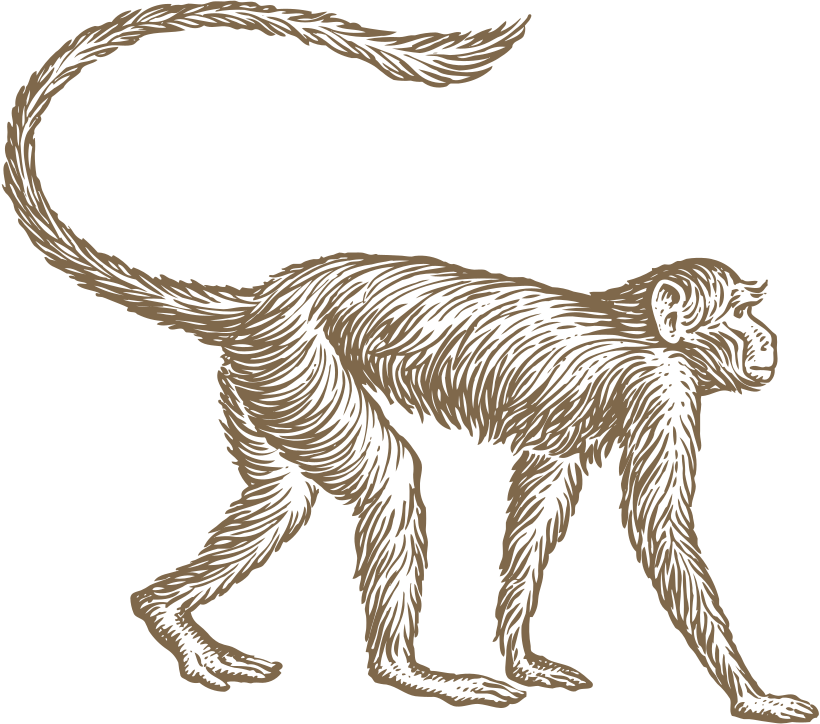 Mowgli logo