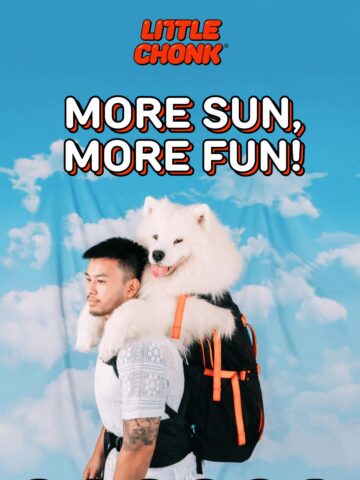 No Thumbnail Set