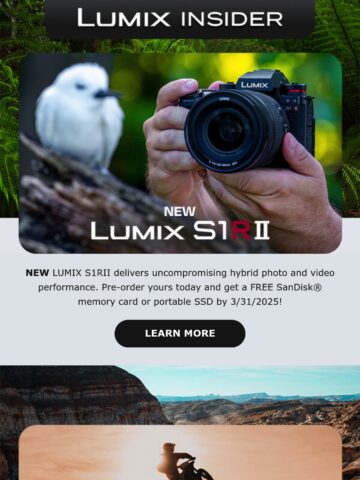 No Thumbnail Set
