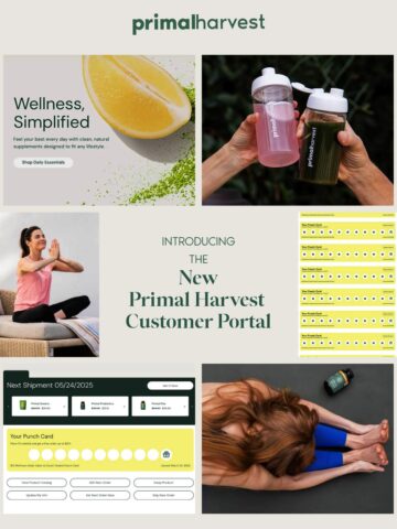 No Thumbnail Set