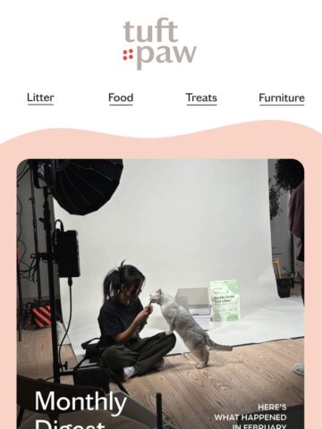 No Thumbnail Set