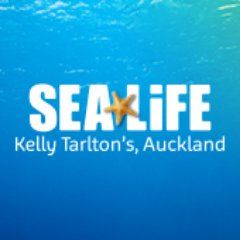 SEA LIFE Kelly Tarlton's logo