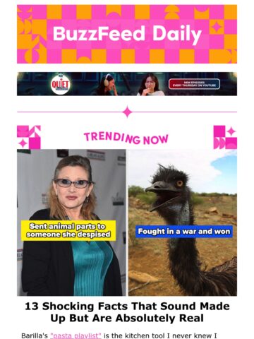 No Thumbnail Set