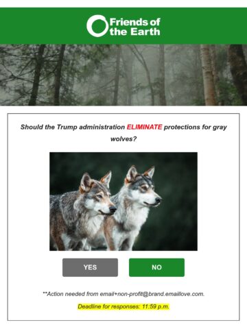 No Thumbnail Set