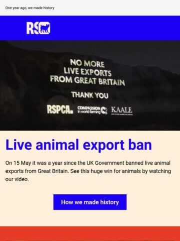 No Thumbnail Set