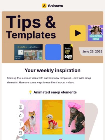 No Thumbnail Set