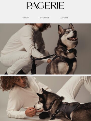 No Thumbnail Set