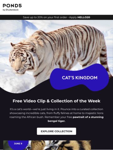 No Thumbnail Set