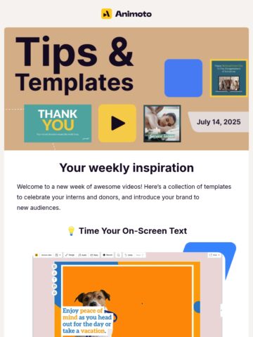 No Thumbnail Set