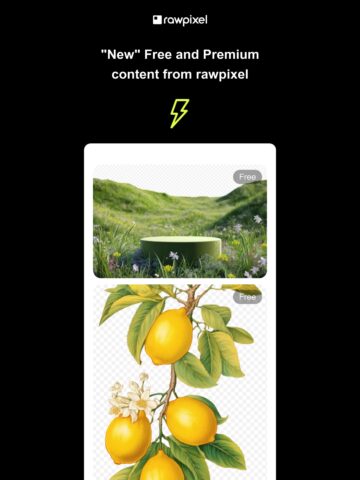 No Thumbnail Set