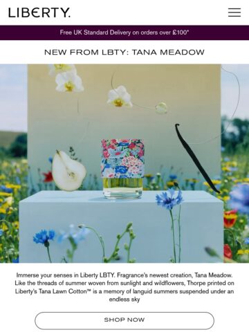 No Thumbnail Set