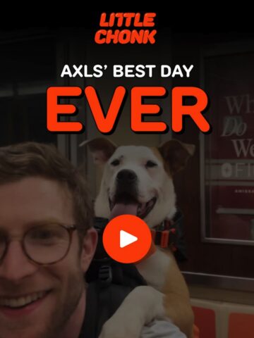 No Thumbnail Set