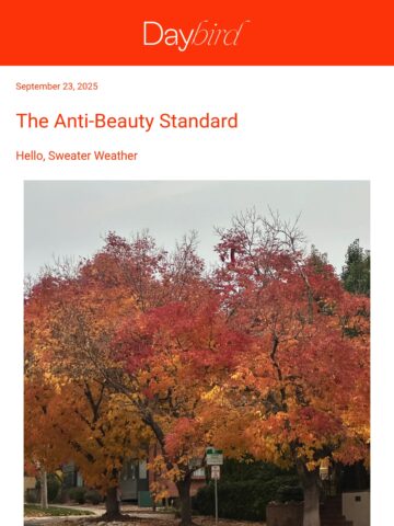 No Thumbnail Set