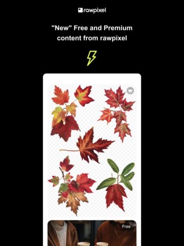 No Thumbnail Set