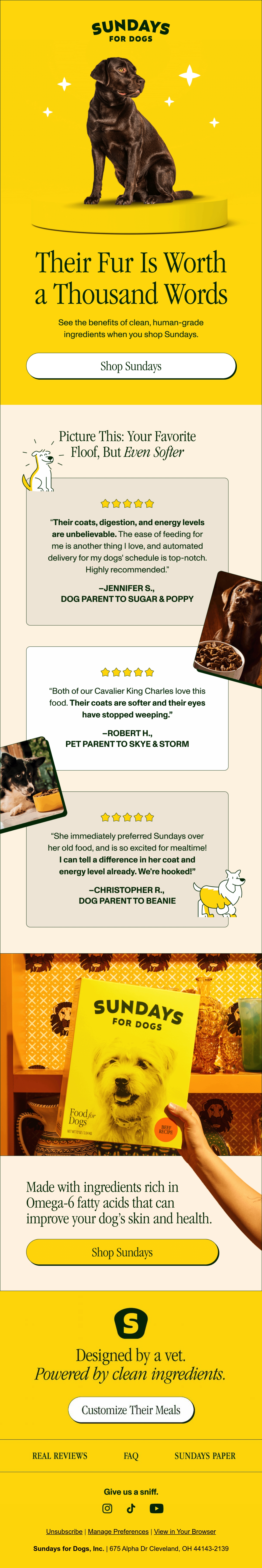 Sundays for Dogs social proof email