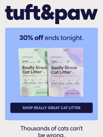 No Thumbnail Set