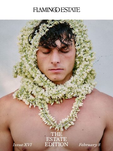 No Thumbnail Set