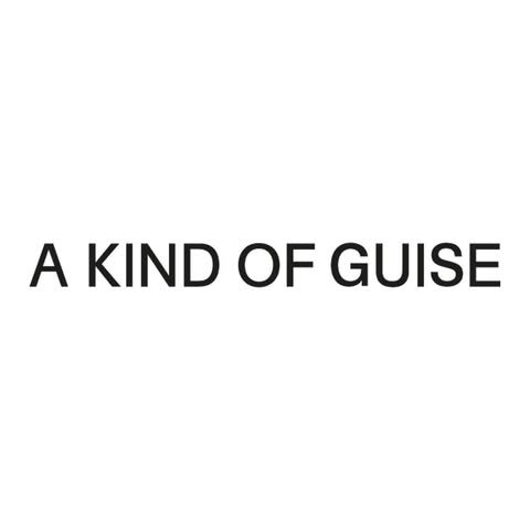 A KIND OF GUISE