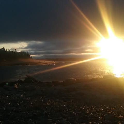 Acadia Johnson
