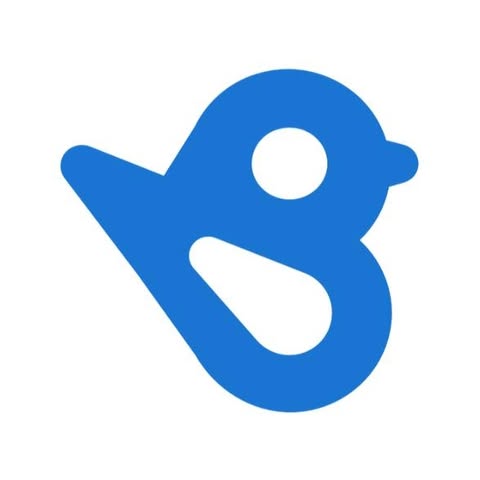 Birdeye