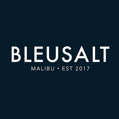 BLEUSALT logo