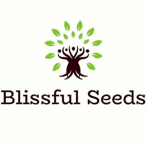 Blissful Seeds Team