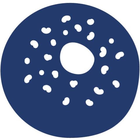 Boichik Bagels