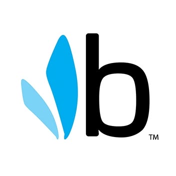 Bumbleride