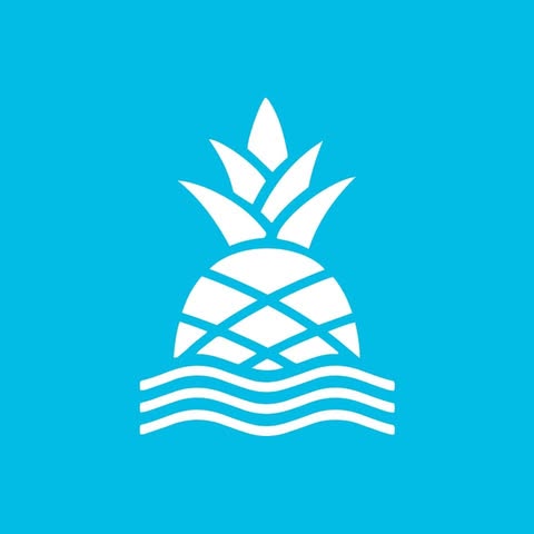Chubbies logo