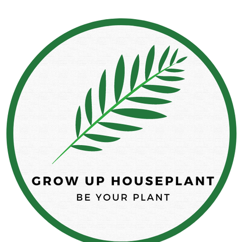HOUSEPLANT