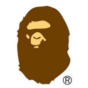 INT.BAPE.COM logo
