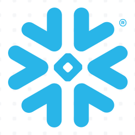 Javier from Snowflake logo