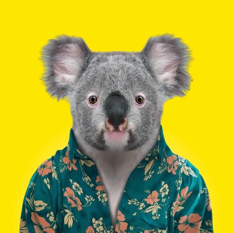 My Queensland