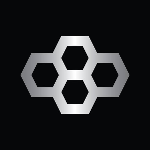 RUDIS logo