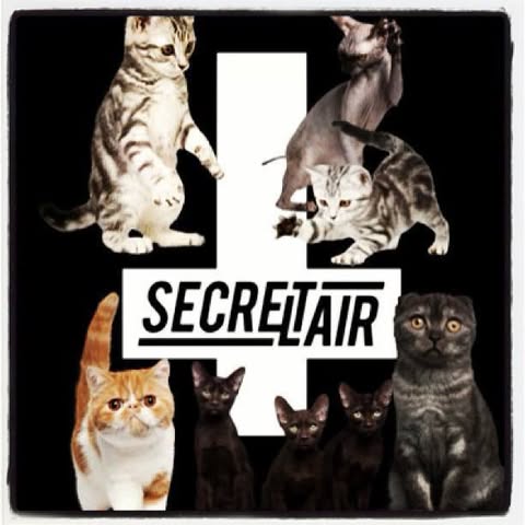Secret Lair logo