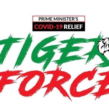 tigers.com logo