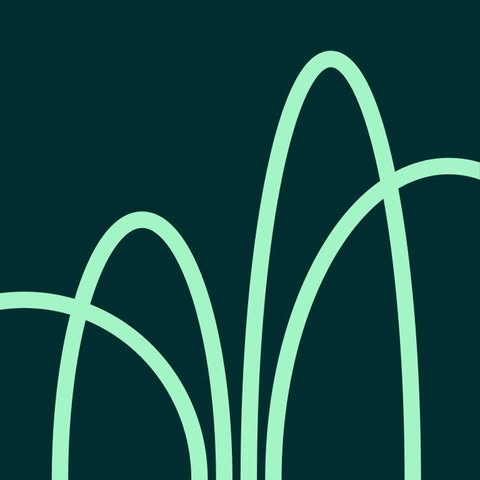 Willow Wealth Support logo