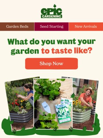 No Thumbnail Set