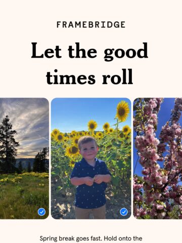 No Thumbnail Set