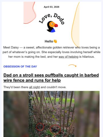 No Thumbnail Set