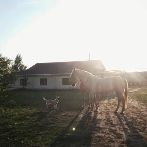 Kristina at Etalon
