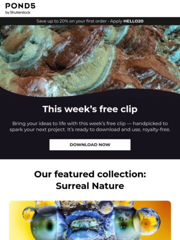 No Thumbnail Set