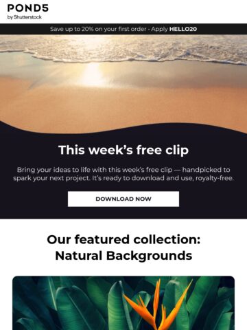 No Thumbnail Set