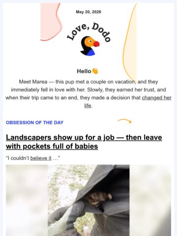 No Thumbnail Set