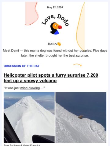 No Thumbnail Set